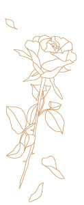 rose