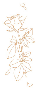rose