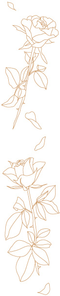 rose
